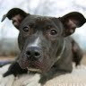 Meet your Posher, Marleni